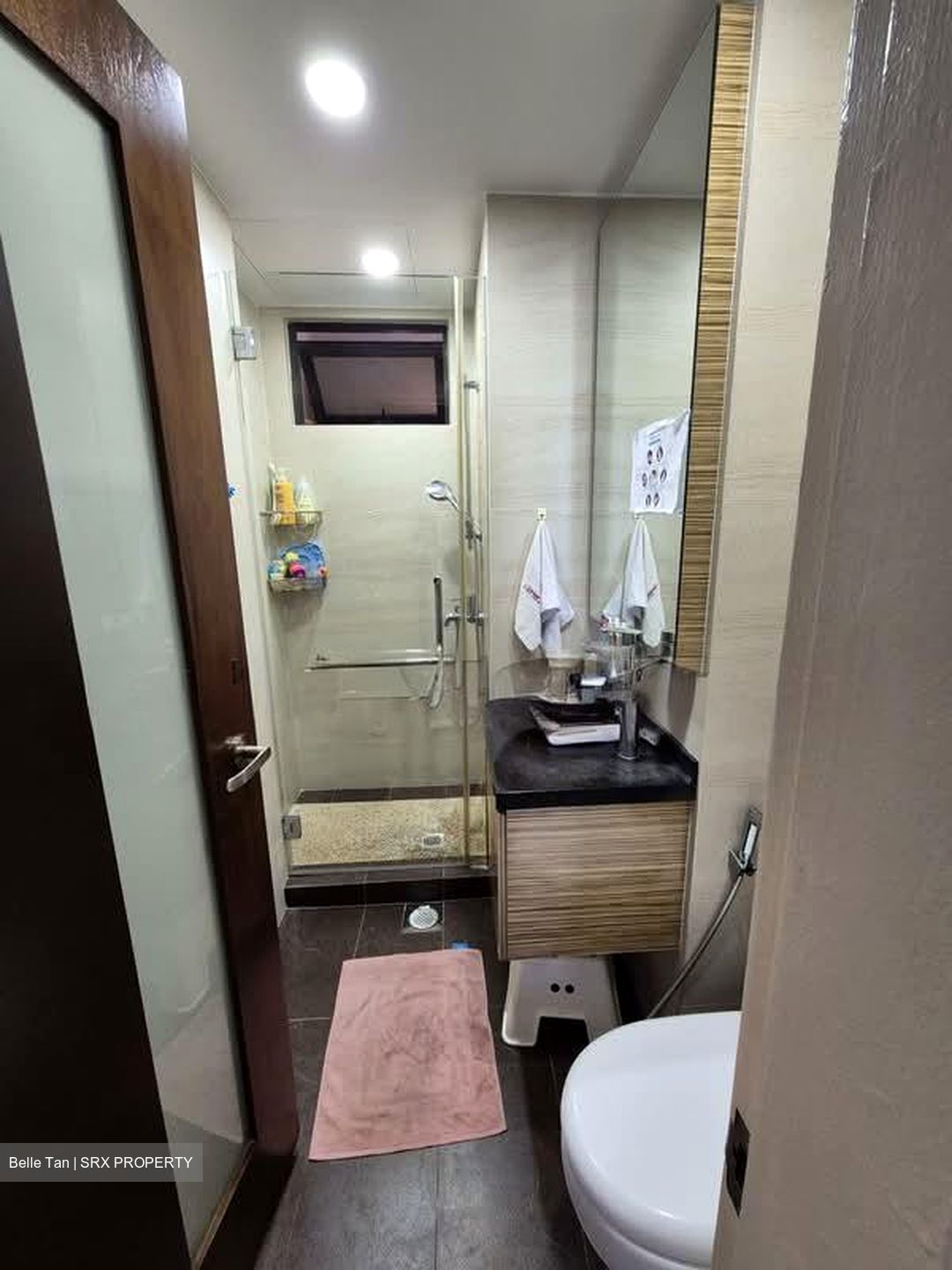 Seasons View (D20), Condominium #595109971